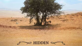 Hidden Trailer