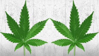 High There Trailer