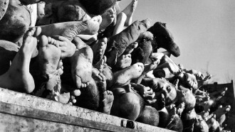 Histories of the Holocaust:Buchenwald Trailer