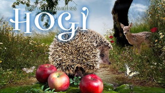 Hogi's Family Trailer