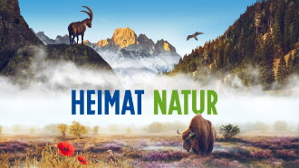 Homeland Nature Trailer