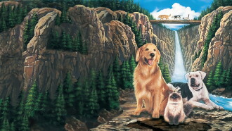 Homeward Bound: The Incredible Journey Trailer