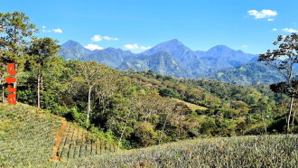 Honduras: Von Regenwald und Strand Trailer
