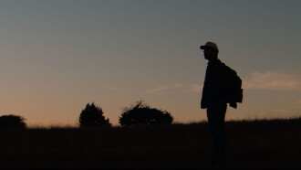 Honeybee Trailer