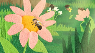 Honeyheart Trailer