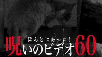 Honto ni Atta! Noroi no Video Vol. 60 Trailer