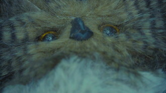 Hoot Trailer