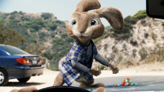 Hop Trailer