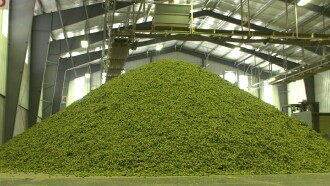 Hopped Up Trailer