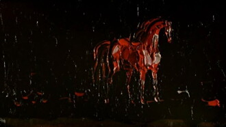 Horse Trailer