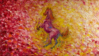 Horse Portrait Trailer