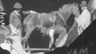 Horse Shoeing Trailer