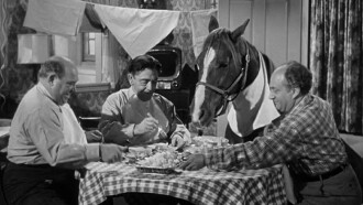 Horsing Around Trailer