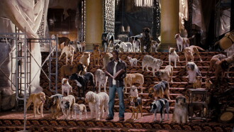 Hotel for Dogs Trailer