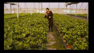 Hothouse Trailer