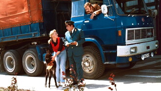 How Do You Feed A Donkey? Trailer