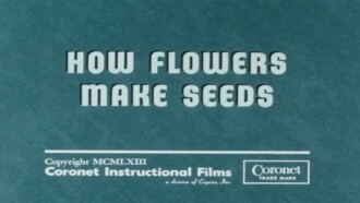 How Flowers Make Seeds Trailer