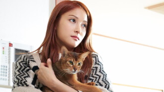 How to Break up with My Cat Trailer