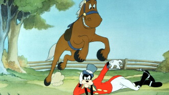 How to Ride a Horse Trailer