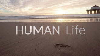 Human Life Trailer