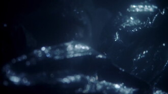 Humboldt Trailer