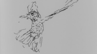 Hummingbird Trailer