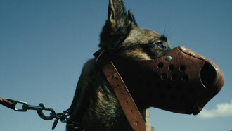 Hundesoldaten Trailer
