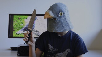 Hunt for the Pigeon Murderer Trailer
