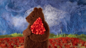 Hush Hush Little Bear Trailer