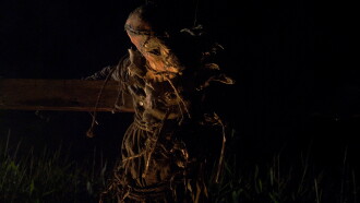 Husk Trailer