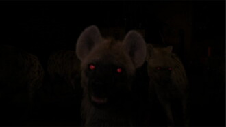 Hyenas Trailer