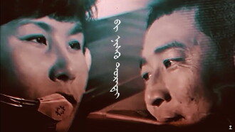 I like to Fly Trailer