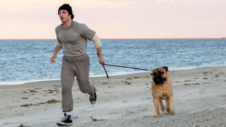 I Play Rocky Trailer