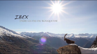 Ibex; In the Footsteps of the Ibex Trailer