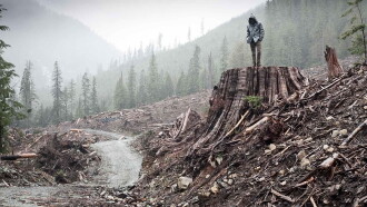 If a Tree Falls: A Story of the Earth Liberation Front Trailer