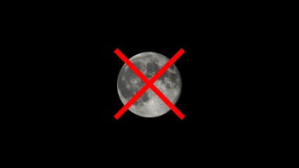 If We Had No Moon Trailer
