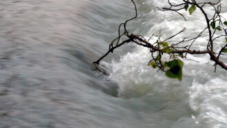 Il Fiume, A Ritroso Trailer