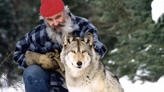 Il parle avec les loups Trailer
