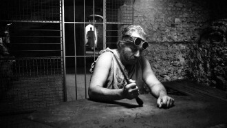 Il ronzio delle mosche Trailer