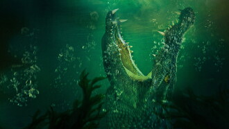Immortal Species Trailer