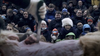 In a Lion Trailer