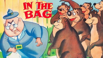 In the Bag Trailer