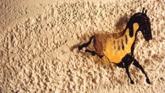 In the Cave of Lascaux Trailer