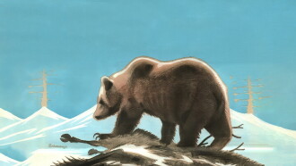 In the Kingdom of the Lapland Bear Trailer