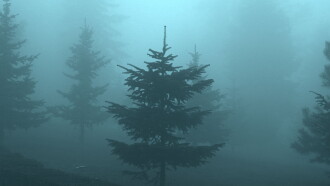 In the Mists Trailer