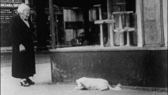 In the Street Trailer