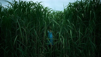 In the Tall Grass Trailer