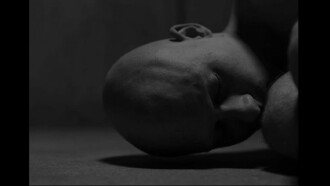 Incarnation Trailer