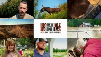 Incredible Reunions Pets and their Owners Trailer