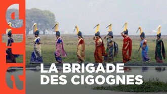 Inde, la brigade des cigognes Trailer
